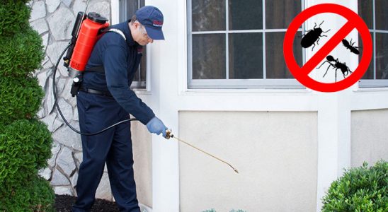 Güçlükonak Akrep İlaçlama böcek ilaçlama ve haşere kontrolü — ilaclama-tr.com